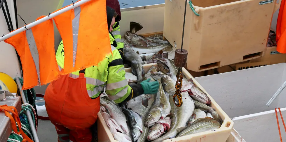 VEIER ALENE: Fiskerne mener å ha god kontroll på hvor mye fisk som er i karene, men opplever at mange fiskebruk avkorter vekta betydelig når de veier fisken alene inne på fiskebruket.