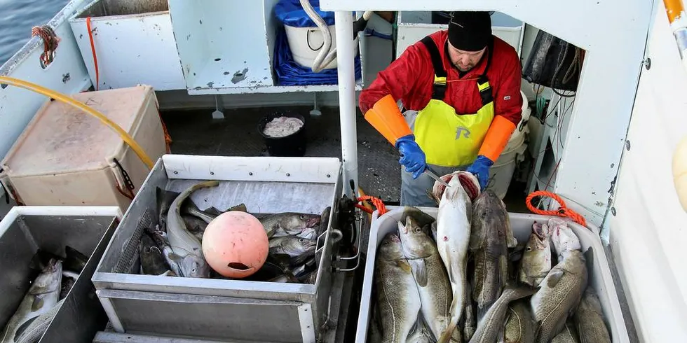 Skreifiske: Kronikkskribenten mener det er mange myter og fiskeskrøner ute og går i den politiske debatten rundt norske fiskerier.Ill.foto: Silje Helene Nilsen