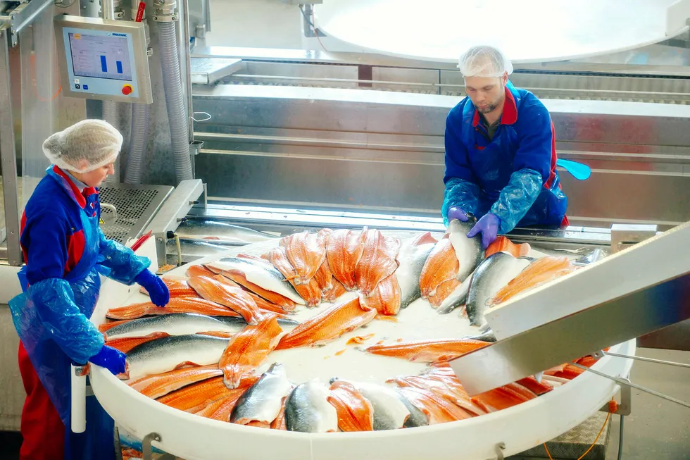 Salmars lakseoppdrettsanleg er et av selskapene som tas inn i portoføljene på grunn av aksjeplukkernes tro på sjømatsektoren. Foto: Kristian Helgesen