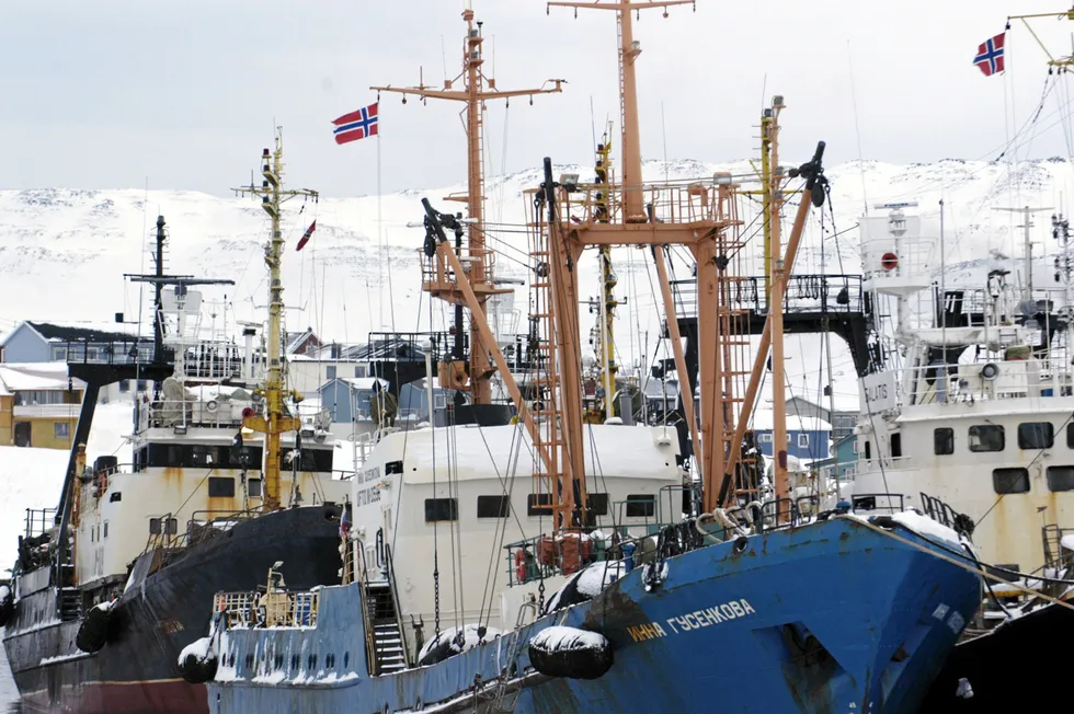 Trawlers in Murmansk, the city in the Russian Arctic where two cod processing plants are facing hefty fines for alleged non-compliance with the terms of an investment quota program.