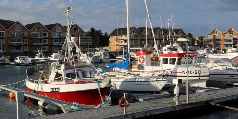 Nyvold Havfiske har startet opp i Sortland, Illustrasjonsfoto fra havnen.