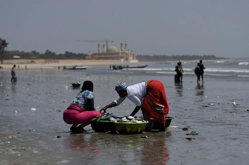 Gambia: still waiting for that deep-water bonanza