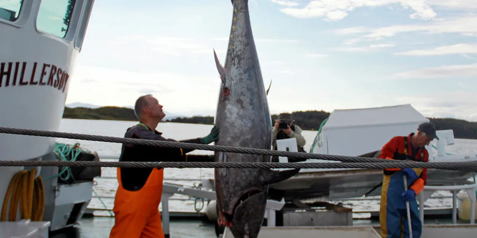 FÅR DELTA: «Hillersøy» får fiske makrell med not i år, som en av syv båter under 40 meter. I tillegg får tre linebåter og en ringnotbåt delta.