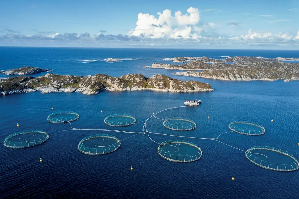 Mowi's farmed salmon facility in Haveroy is located in Oygarden close to Bergen, Norway.