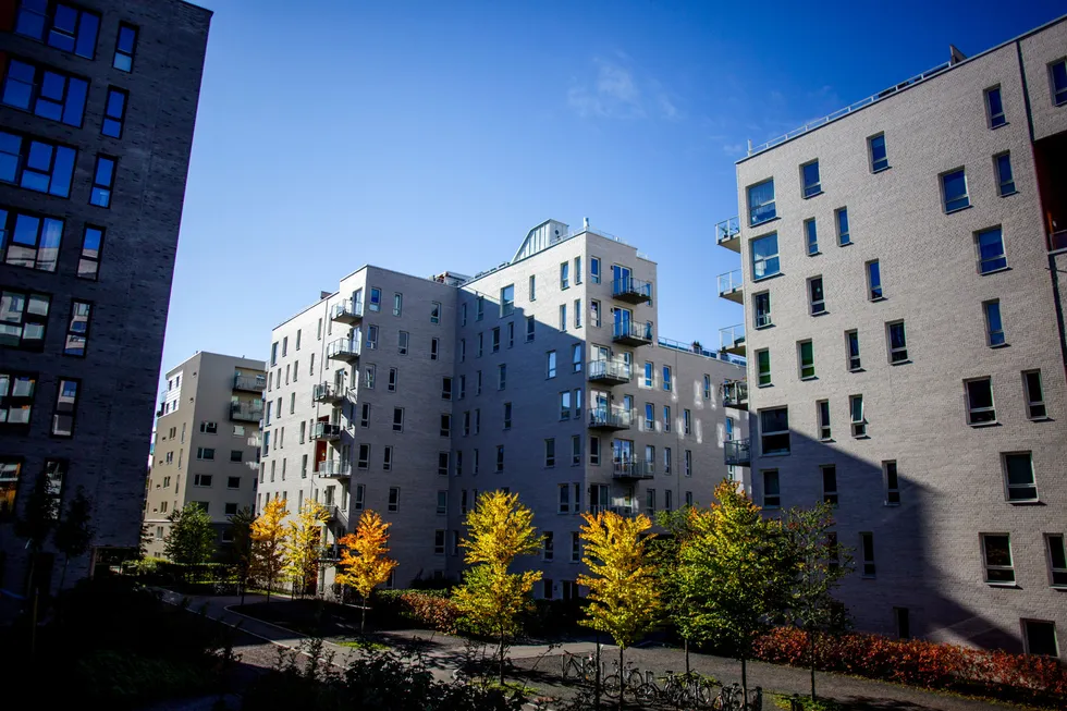 Den kraftige boligprisveksten har gjort norske husholdninger mer finansielt sårbare, skriver artikkelforfatteren.
