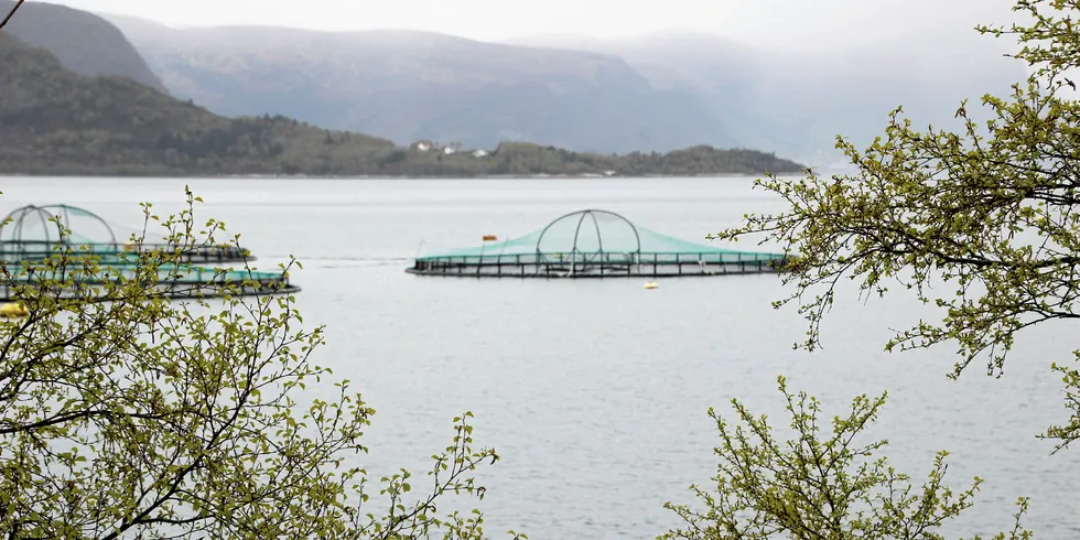 Stabile priser, melder aktører i laksemarkedet. Her et illustrasjonsfoto fra Aqua Farms Vartdal sin lokalitet Slettvika i Ørsta kommune i Møre og Romsdal.