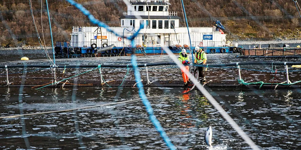 FORDELING:: Kampen om hvordan framtidens regime for hvordan penger fra laksevekst skal fordeles mellom kommunene, fylkeskommunene og staten, tilspisser seg,