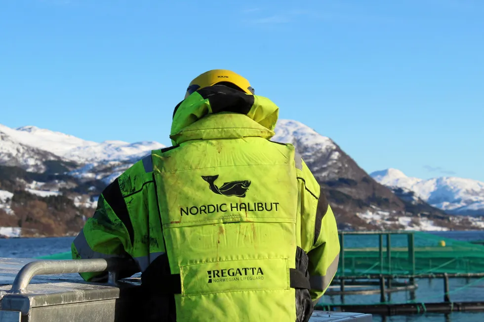 Nordic Halibut melder at de går på børs med ny kapital til produksjon av oppdrettskveite
