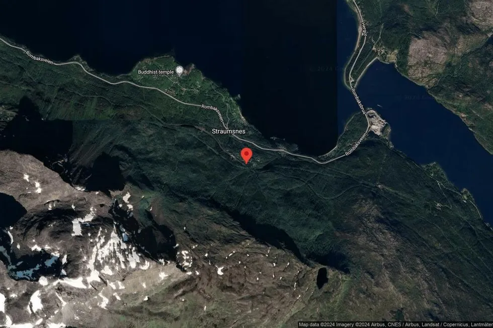 Området rundt Straumsnesveien 93, Narvik, Nordland