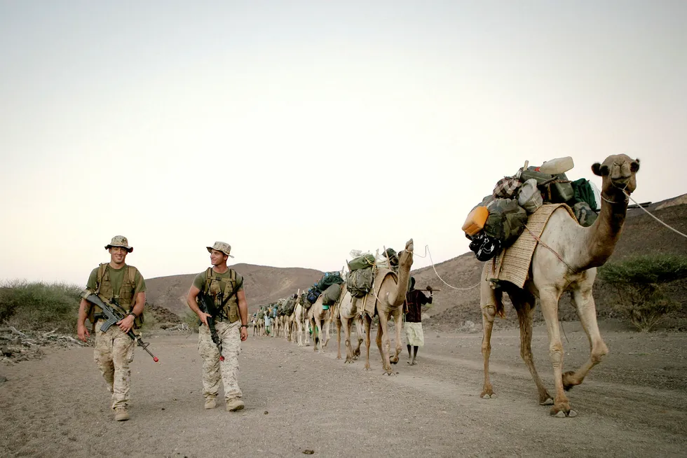 Noen av Djiboutis rundt 20.000 kameler bidrar til å dra lasset for stormaktene som har militærbase der. Her fra en amerikansk militærøvelse i ørkenlandet. Foto: Patrick Robert/Getty Images