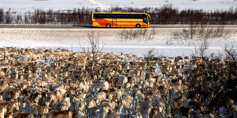 Når dødeligheten innenfor reindriftsnæringa på landsplan er nesten dobbelt så stor som dødeligheten i oppdrettsmerdene, og den i vårt eget nærområde er omtrent syv ganger så stor, er det egna til forundring at det kun er havbruksnæringa som anklages for manglende fokus på dyrevelferd.