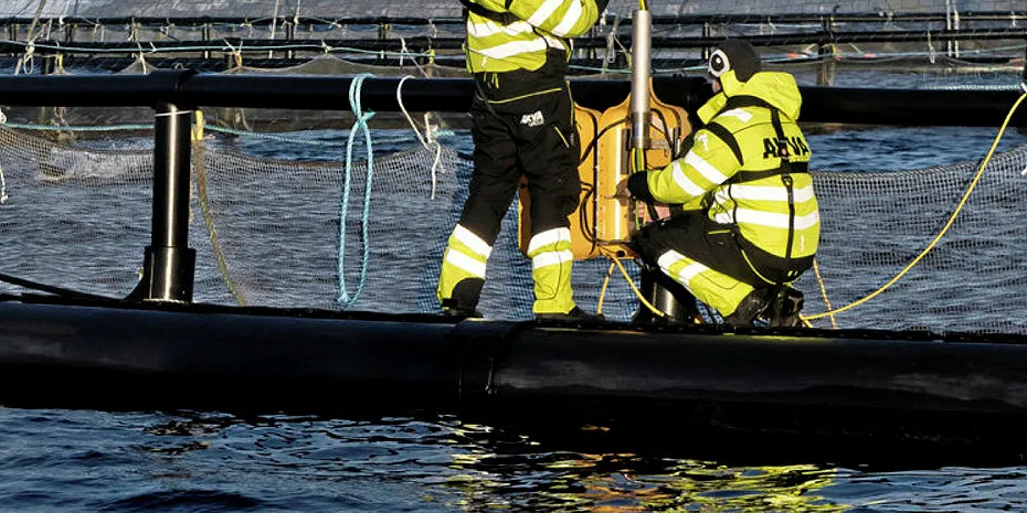 Mowi og Akva Group inngår rammeavtale.