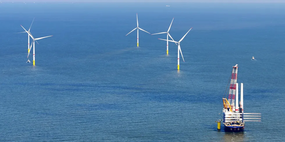 The Rentel offshore wind farm.