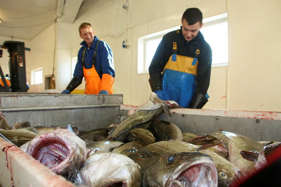 Analyst: Get ready for spike in fresh, frozen Atlantic cod prices