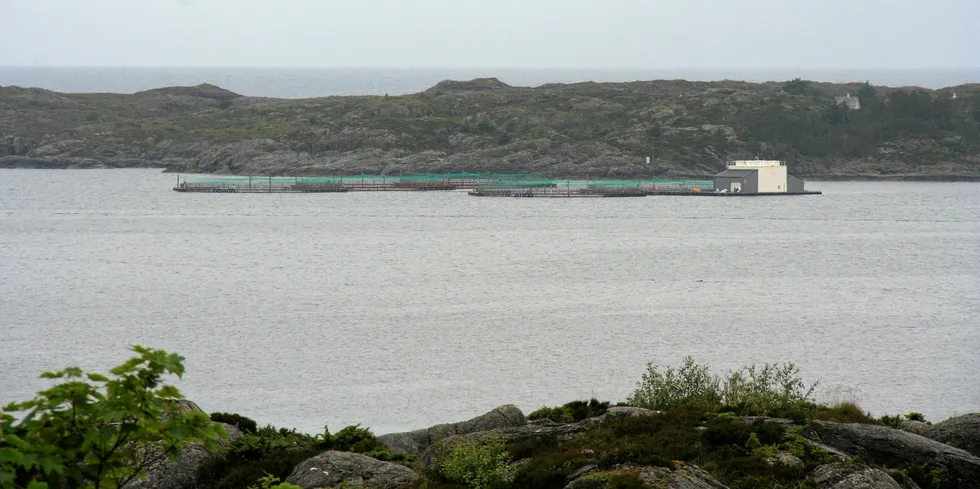 Fylkesnes Fisk sin lokalitet Hiskholmen ved Hiskjo på Bømlo. Sett frå Tverborgvik.