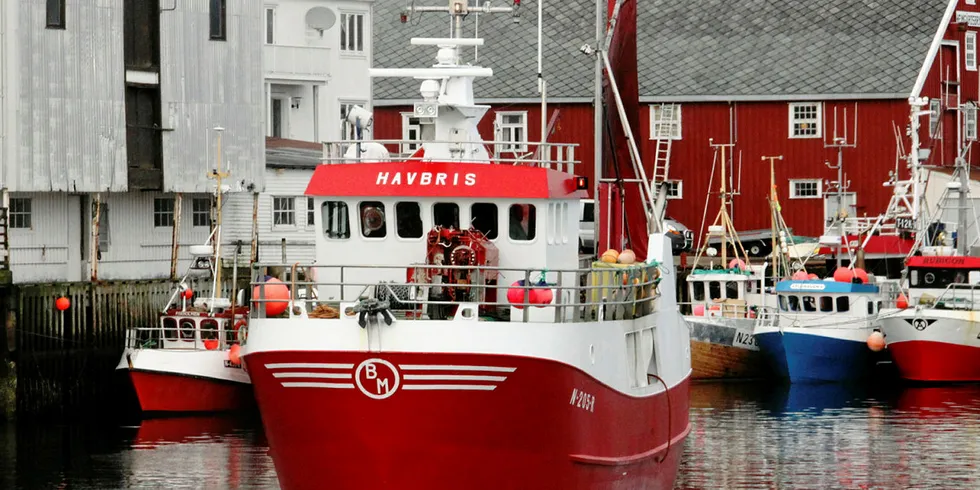 BYGGET I 1999: Hansens Fisk AS' «Havbris» i havnen i Henningsvær i mars 2016.