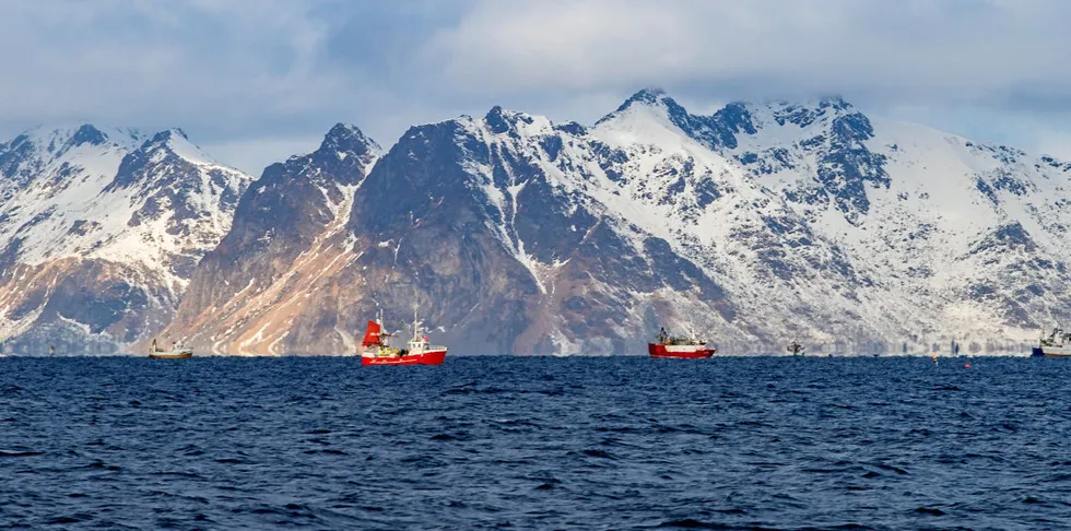 Bildet viser vinterfiske etter torsk i Lofoten. Det er lofotfisket som folk flest forbinder med norsk sjømat.