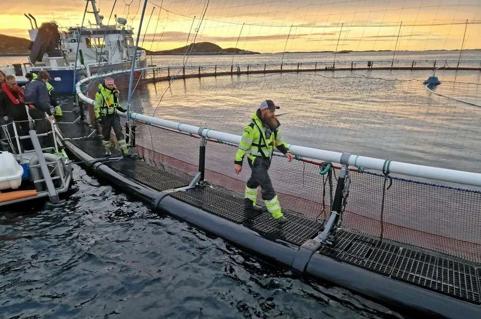 Norcods lokalitet Jamnungen på Frøya. Michael Jobotn er skiftleder.