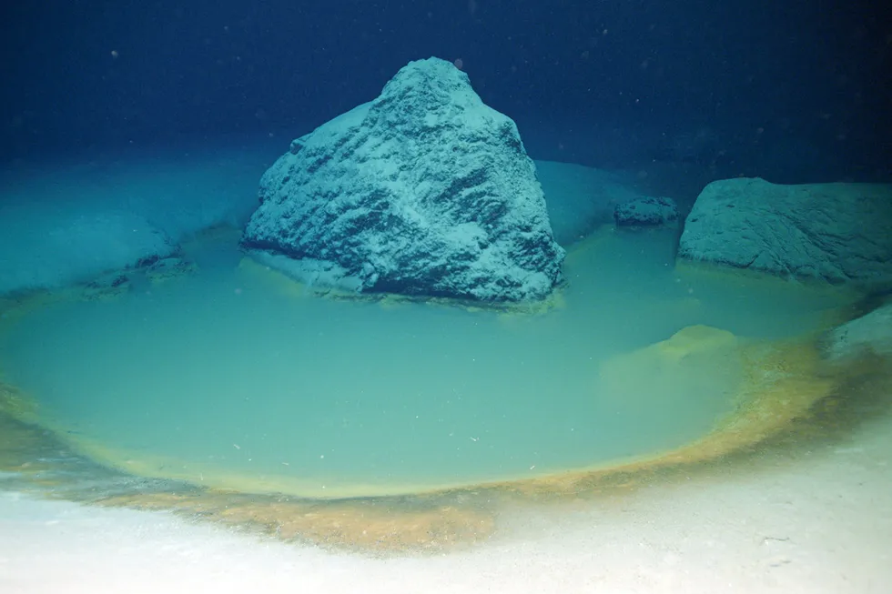Deep knowledge: one of three small (10 square metre) brine pools discovered near a large brine pool in the Gulf of Aqaba