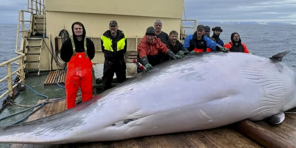 Her er et fornøyd mannskap på «Kato» med hval nummer 200 av til sammen 204 vågehval i fjorårets rekordsesong for fartøyet.