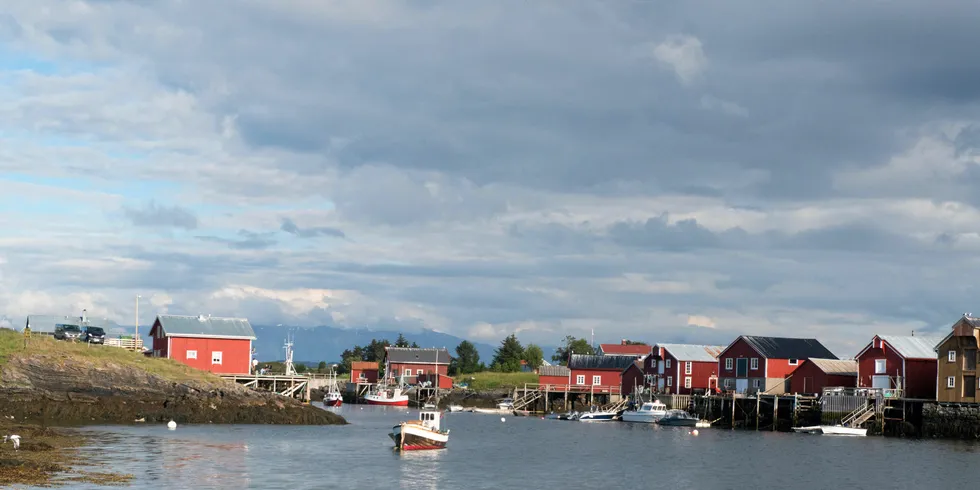 Det er opp til forvaltningen og den sektorloven som gjelder for den enkelte havnæringen å sikre at områder med rik og sårbar natur bevares. Her fra Lånan på Vega, det største egg- og dunværet på Helgeland.