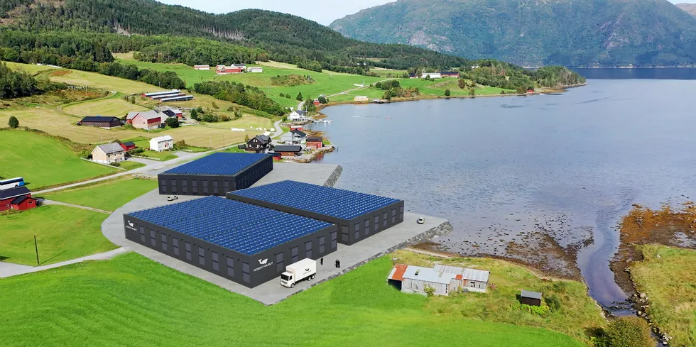 Nordic Halibut planlegger å bygge et nytt fullintegrert landanlegg for oppdrett av kveite i Torjulvågen i Tingvoll kommune.