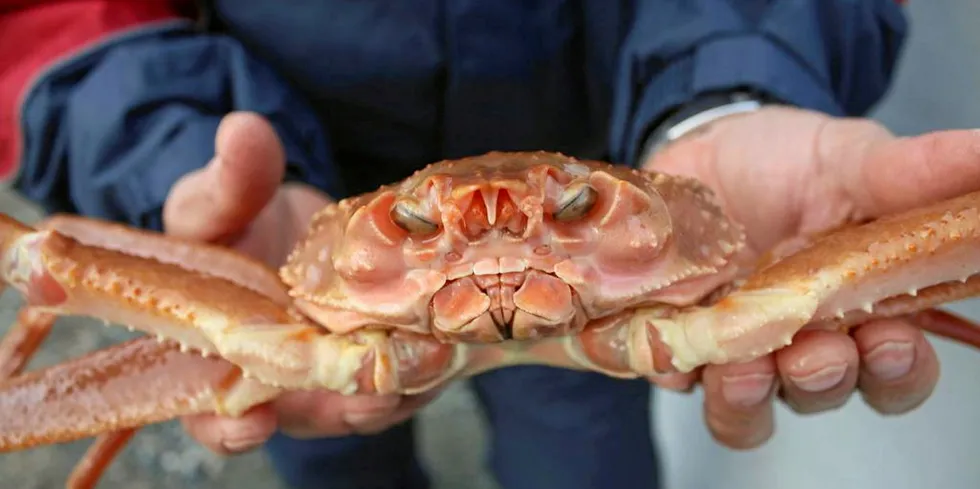 It was an ugly battle between crab fishermen and processors in Newfoundland this season.