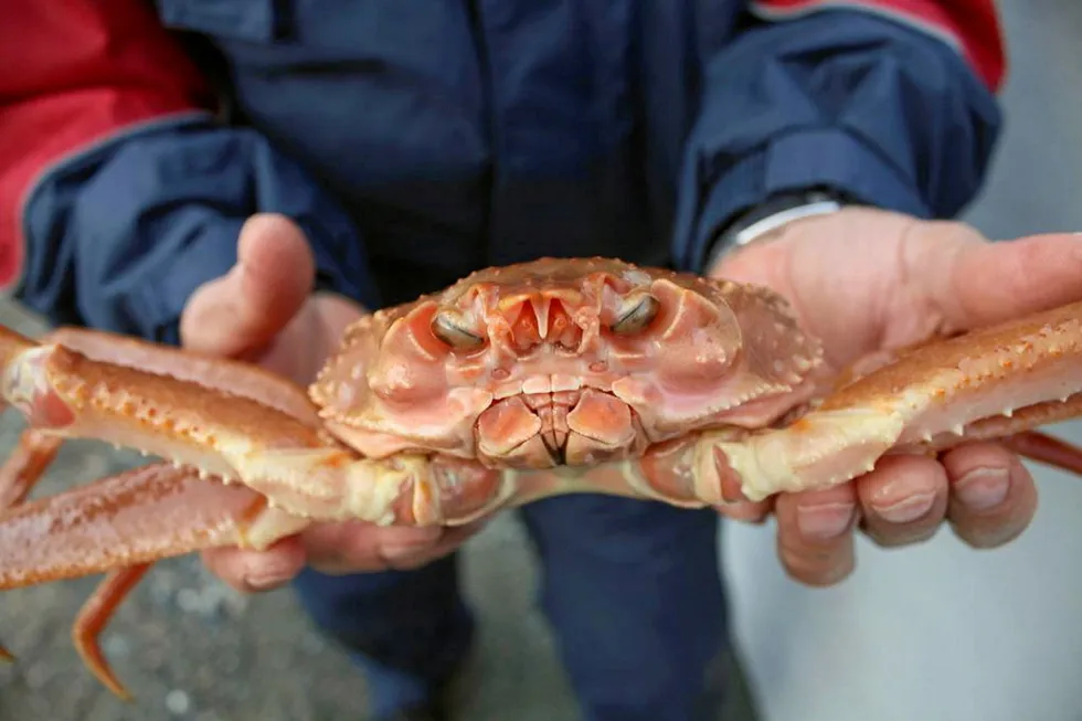 It was an ugly battle between crab fishermen and processors in Newfoundland this season.