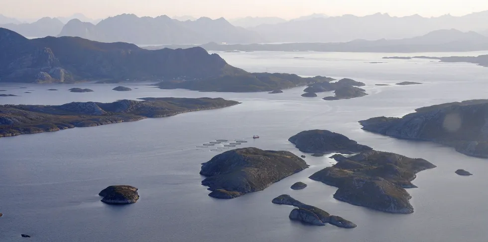 En stor NIVA-rapport konkluderer med at økosystemene og kystmiljøet på Helgelandskysten er i meget god forfatning.