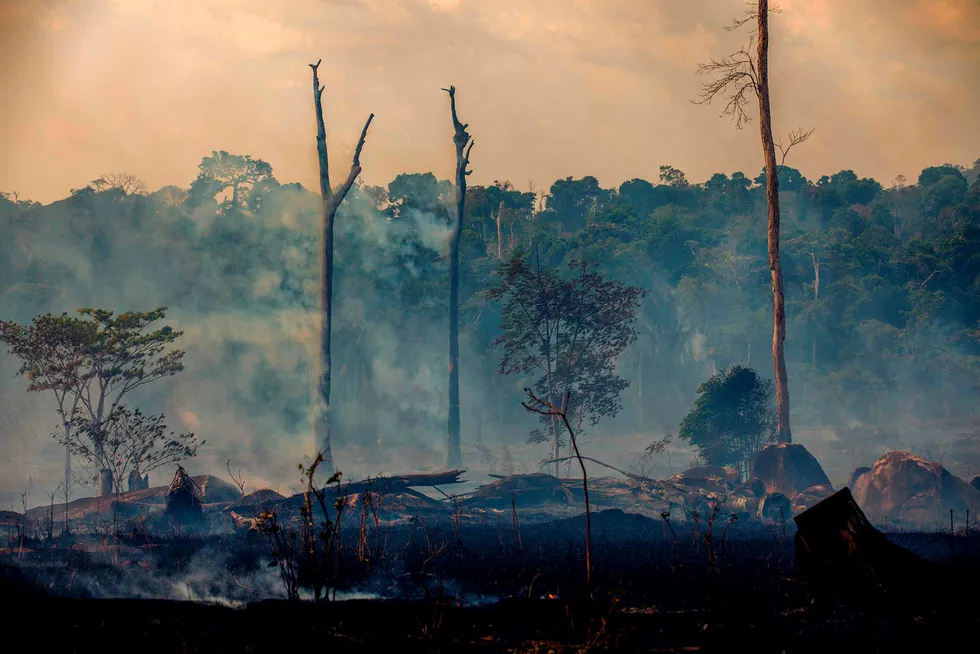 Sterke krefter mener Norge bør presse Brasils president til å verne regnskog ved å utsette ratifisering av avtalen mellom Efta og Mercosur så lenge regnskogen i Amazonas brenner.