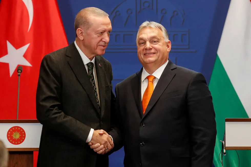 Tyrkias president Recep Tayyip Erdogan og Ungarns statsminister Viktor Orban skaper jevnlig frustrasjon hos vestlige partnere.