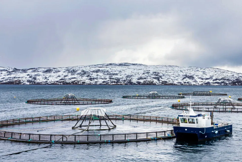 A salmon farm owned by Leroy Seafood. The farm is not connected with the escape.