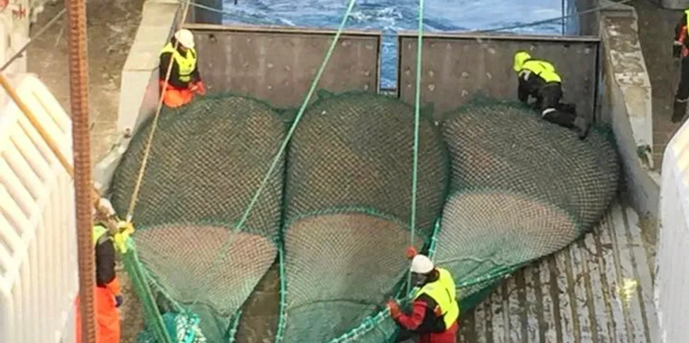 – Vi kan med god margin fastslå at har vi i dag en rekebestand som er beskattet bærekraftig, forskningssjef Carsten Hvingel ved HI. Her Havfisks tråler «Nordtind» i Barentshavet.