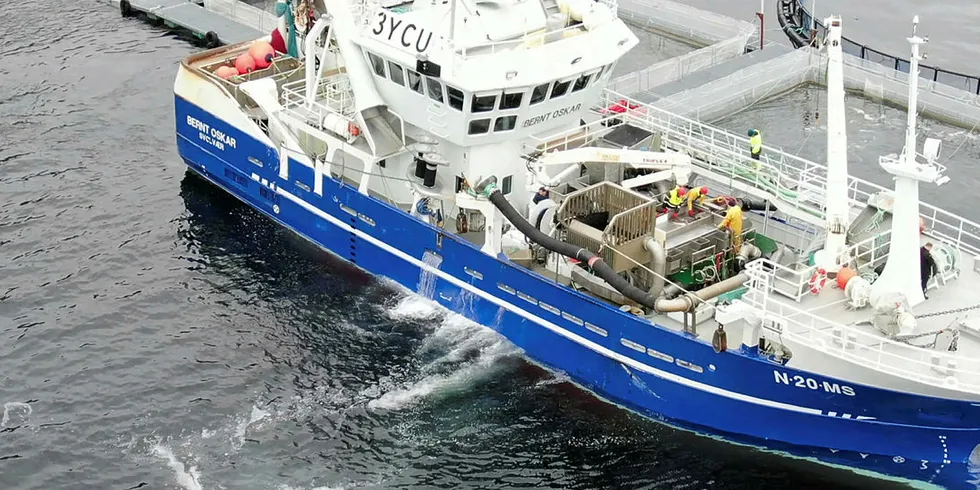 KRANSVIK-MERDENE: «Bernt Oskar», en 36 og en halv meter lang snurrevadbåt, leverer levendefanget torsk ved merdene som rederiet disponerer utenfor Havøysund.