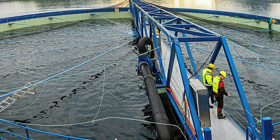 Aquatraz-merden til Midt-Norsk Havbruk.