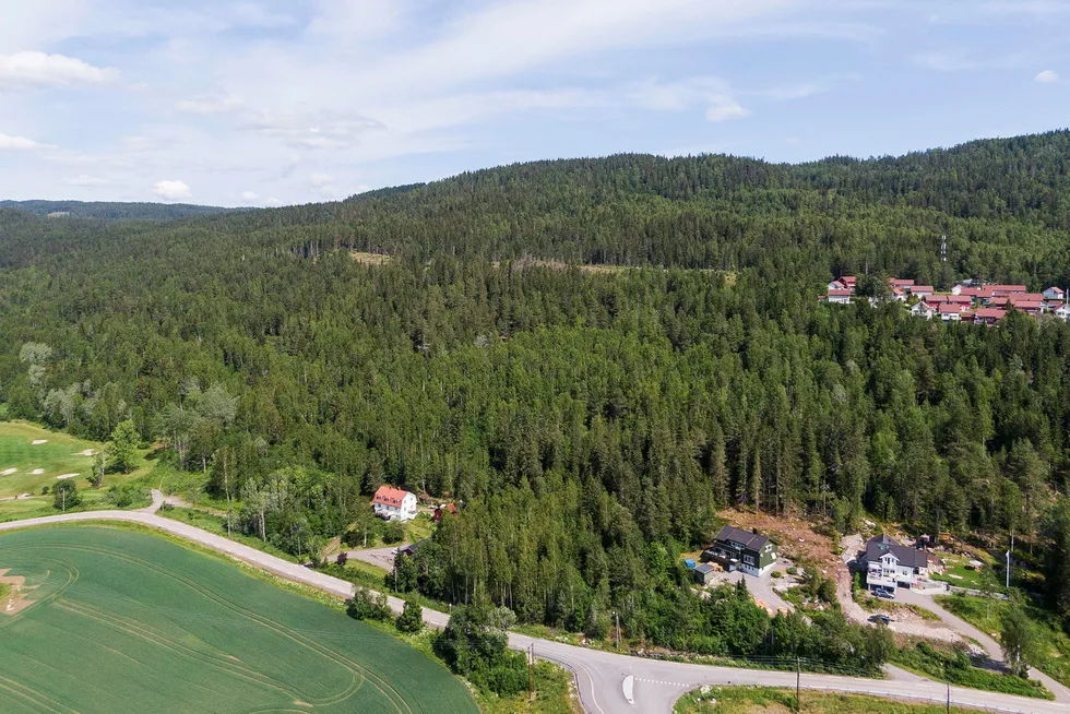 Fylkesmannen i Oslo og Viken var kritisk til byggeprosjektet i Bjørnholtlia i Nittedal kommune. Etter et meglingsmøte med formannskapet i kommunen, valgte Fylkesmannen til slutt å gi klarsignal.