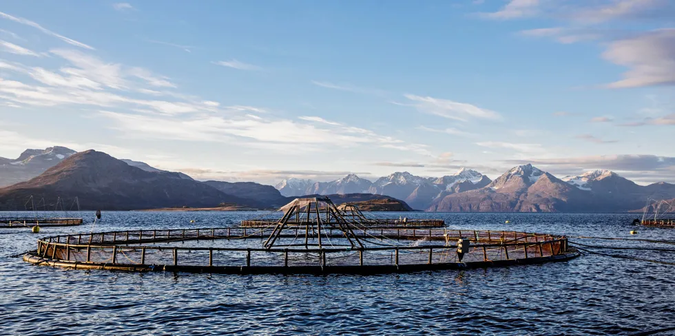 Naturressursen for norsk oppdrett er skjermede fjordallmenninger med god vanngjennomstrømning og kald temperatur, skriver Rune Birger Nilsen.