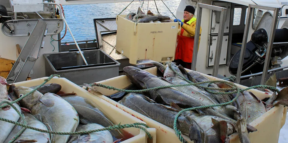 PÅ VEI: Skreien er på vei til Lofoten. Sesongarbeiderne er på vei til Lofoten, men får ikke komme inn i landet.