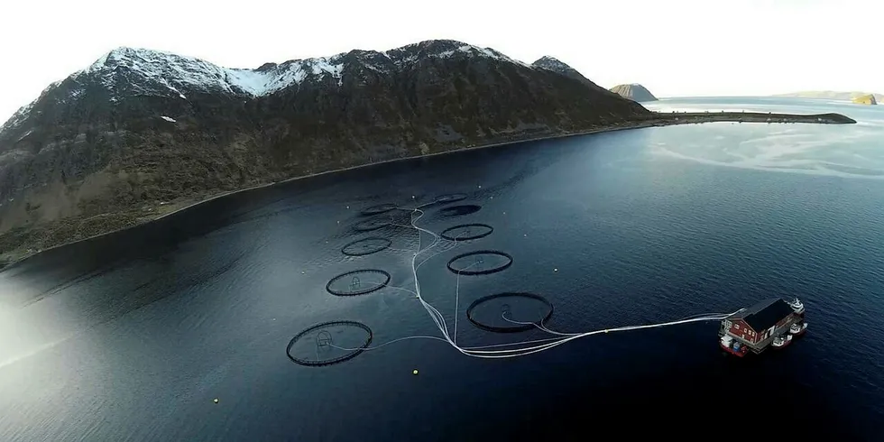 Hvor mye laks er det her? Illustrasjonsfoto fra Cermaq-lokaliteten Slettnes på Sørøya. (Dronefoto: Morten Levin Hansen)