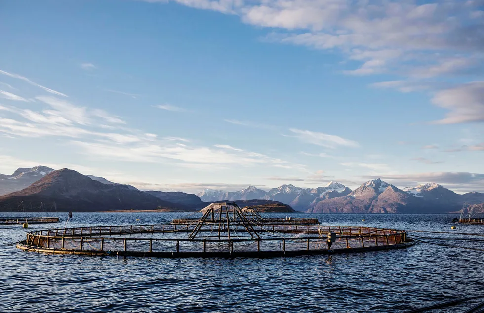 Høye laksepriser reduserer salg av laks til EU og svekker veksten i norsk sjømat. Her fra lakseprodusenten Lerøy Aurora sitt i Kågen ved Skjervøy i Nord-Troms. Foto: Per Thrana