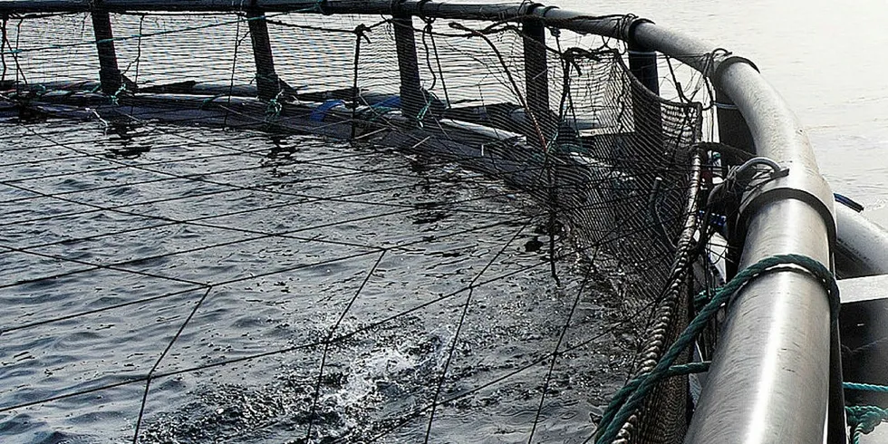 VIL STOPPE LAKSELUSSPREDNING: Havforsknigsinstituttet med radikal plan for å stoppe lakselusas spredning.