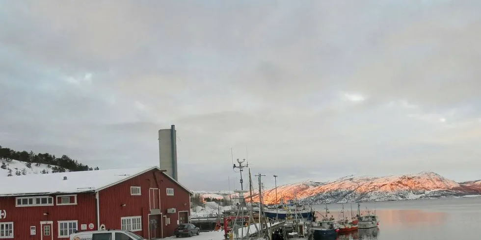 Fiskerihavnene er for viktige for fiskerne til at det skal bli opp til den enkelte region å avgjøre hva det skal satses på og hvor.Illustrasjonsfoto: Agnar Berg