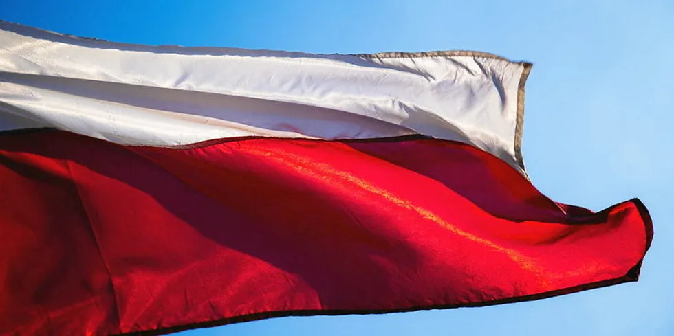 . Flag of Poland.
