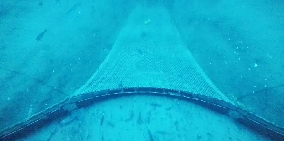 Et nytt semicirkelgir i trål gir bedre fangst og er mer skånsom mot havbunnen.