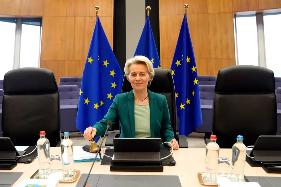 Critical action: European Commission President Ursula von der Leyen in Brussels.