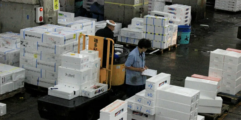 Norsk laks på fiskemarknaden Tsukiji i Tokyo.