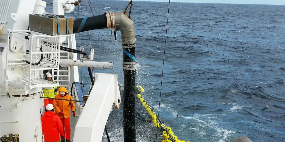 MISTER MSC: Ringnotbåten «Rav» på makrellfiske. Havet er svart av fisk, melder fiskerne. Likevel har MSC bestemt at makrellen mister miljømerkingen. Foto: Petter Hepsø