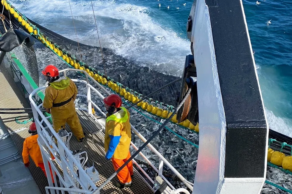 «Røttingøy» har nettopp startet årets makrellsesong, og håper at makrellen blir mer enn den har vært til nå.