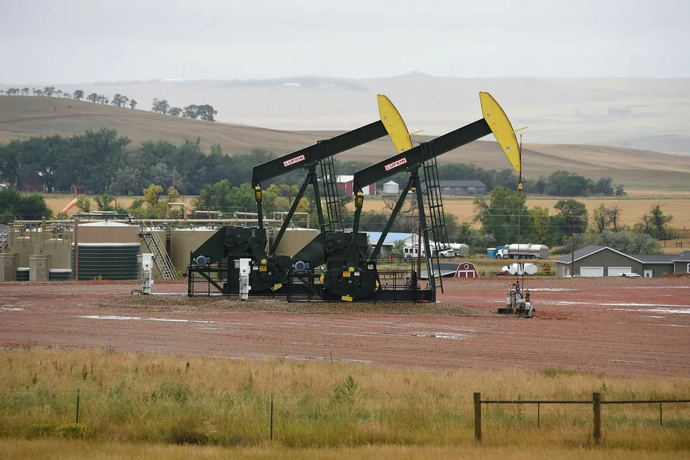 Oljerigger pumper opp olje fra Bakken-feltet i North Dakota i USA. Foto: ROBYN BECK/AFP Photo/NTB Scanpix