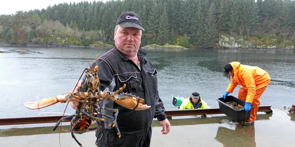 IKKE VIKTIG: Leif Bognøy i Nordhordland Fisk. Her får han hummer av fiskerne Steinar og Sverre Stormark, men hummersalget utgjør en svært liten del av omsetningen i fiskemottaket.